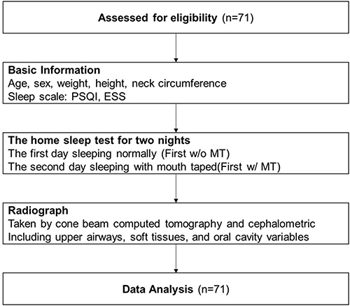 Figure 1 Flowchart summarizing the study procedure.