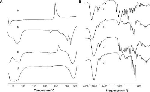 Figure 3 Differential scanning calorimetry (A) and Fourier transform infrared spectra (B) of rifaldazine (a), β-cyclodextrin (b), physical mixture (c), and RAABCD (d).Abbreviation: RAABCD, β-cyclodextrin molecular inclusion complexes of rifaldazine.