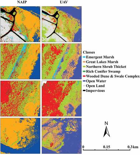 Figure 6. Selected areas of the CRM study site delineated by the RF classification for NAIP and UAV imageries highlighting detail differences for the natural community classes.