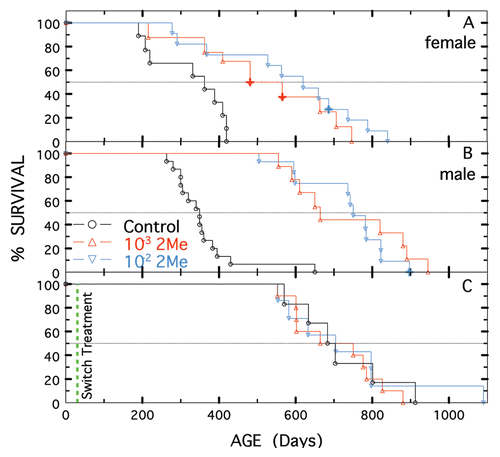 Figure 1 Longevity of (NZW × NZB) F1-hybrid male and female mice exposed to normal, 10−3 M or 10−2 M 2-Me drinking water. (A) Females. Treatment started at 28 days of age. Nontreated water shown in black (n = 9), 10−3 M 2-Me water in red (n = 8) and 10−2 M 2-Me water in blue (n = 11). (B) Males. Treatment started at 28 days of age. Control (n = 15), 10−3 M 2-Me (n = 9), 10−2 M 2-Me (n = 11). (C) Males. Grandparents and parents on 10−3 M 2-Me their entire lives. At 28 days of age, water of offspring of these parents/grandpaarents was switched to: nontreated water (n = 6), 10−2 M 2-Me (n = 7), or continued on 10−3 M 2-Me (n = 10) for the remainder of their lives. Animals with solid tumors or ascites are designated by +.