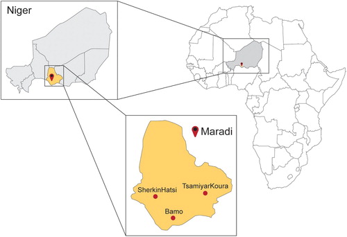 Figure 1. Study location (Bamo, SherkinHatsi, and Tsamiyar Koura villages, Maradi Region, Niger).