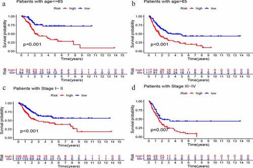 Figure 7. Stratified analysis of GIlncSig. Survival curves for high and low risk groups in patients ≤ 65 years (a) and > 65 years (b). Survival curves for high and low risk groups in early stage (c) and advanced stage patients (d)