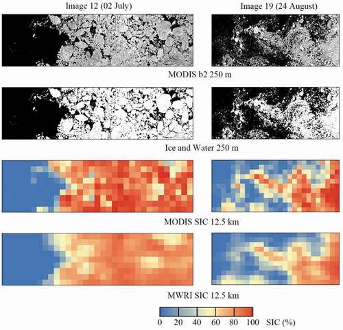 Figure 7. MODIS Band 2 reflectance, the ice-water binary map, the MODIS SIC, and the MWRI SIC of Image 12 (02 July 2018) and Image 19 (24 August 2018).
