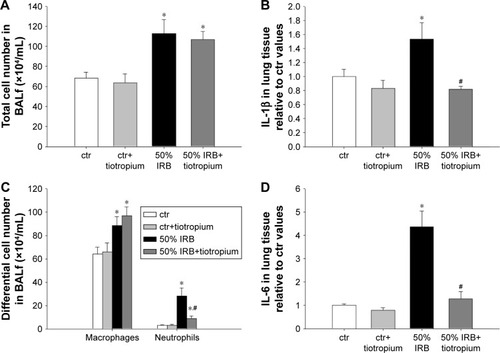 Figure 3 The effect of tiotropium bromide on lung inflammation following 50% of IRB.Notes: Total and macrophage counts in BALf were not affected by tiotropium inhalation prior to 50% of IRB, while neutrophil numbers were reduced by tiotropium, although remained elevated compared to ctr (A and C). Both IL-1β and IL-6 levels returned to ctr values after inhalation of tiotropium (B and D). Data presented as mean ± SEM. White bar, ctr; gray bar, ctr plus tiotropium; black bar, 50% of IRB and dark gray bar, 50% of IRB plus tiotropium. *P<0.05 to ctr and #P<0.05 to 50% of IRB. n=5–8 per group.Abbreviations: IRB, inspiratory resistive breathing; BALf, bronchoalveolar lavage fluid; ctr, control; SEM, standard error of the mean.