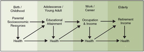 Fig. 1 The impact of socioeconomic status on health across the life course. Source: Taken directly from Adler et al. (Citation57).