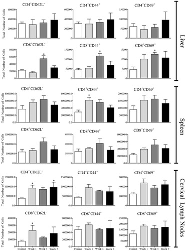 Figure 7. Lymphocyte activation in AQ-treated mice. Cells were from control (n = 4) or mice treated with AQ (n = 4) for 1, 3, or 7 weeks. Values shown are mean ± SE. Analyzed for statistical significance versus control by Mann-Whitney U-test; p values < 0.05 were considered significant (*p < 0.05; **p < 0.01; ***p < 0.001).