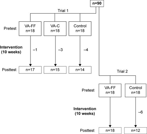 Figure 1 Flow chart of the participants in the study.