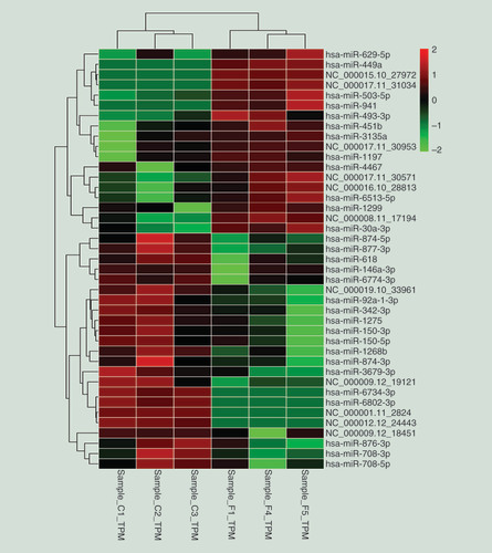 Figure 4.  Clustering of expression patterns of 41 differentially expressed miRNAs.Each row represents one miRNA, and each column represents a sample. Red, upregulation; green, downregulation. C1, C2 and C3, healthy individuals, F1, F4 and F5, individuals with PTB.