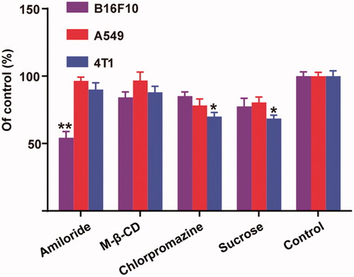 Figure 4. Relative internalization efficiency of HA-ss-TOS-C6 micelles by B16F10, A549 and 4T1cells in the presence of various endocytosis inhibitors. *p < .05 vs. control and **p < .01 vs. control.