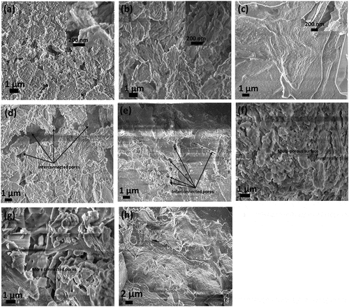 Figure 2. Surface image of ECA particle under a scanning electron microscope (SEM) showing cavities; (a) GI-1 exposes the stack sheet structure of kaolin; (b) GI-2; stack sheet morphology (c) GI-3—showing long, slender and fibrous aggregate of sillimanite and hexagonal flakes; (d) GI-4—mixed surfaces of sheet platelets and hexagonal flakes; (e) GI-5—mixed surfaces of sheet platelets and hexagonal flakes; (f) GI-6—multi-porous well defined flakes; (g) GI-7 multi-porous well defined flakes with more connected pores-; (h) GI-8—possess long, slender and fibrous aggregates of sillimanite with more pores than GI-3