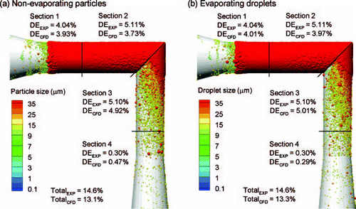 FIG. 11 Sectioned deposition results of a transient polydisperse aerosol released over 2 s from the capillary tip for (a) non-evaporating particles, and (b) evaporating droplets. The reported CFD mass fractions are based on the original mass of drug estimated to be in the droplets.