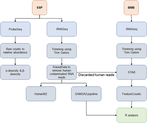 Figure 1. (Continued).