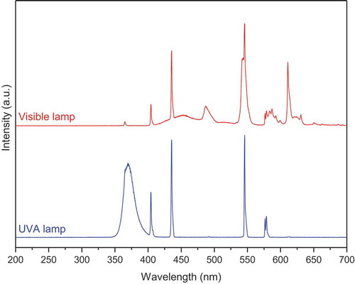 Figure 1. The light spectra of our UVA and visible light lamps