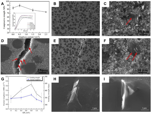 Figure 3 (A–F) Mechanical properties of graphene/barium titanate/polymethyl methacrylate composites with different graphene content: (A) compressive strength, in which the inset image showed the compressive strength curve of the composites, (B) crack propagation (0.5 wt.% graphene), and (C) scanning electron microscope (SEM) images of fracture morphology (0.5 wt.% graphene), in which red arrow indicated graphene, (D) SEM images of crack morphology (0.5 wt.% graphene), in which the red arrow indicated graphene extracted during crack propagation, (E) SEM images of crack propagation (1.5 wt.% graphene), and (F) SEM images of fracture morphology, in which red arrow showed graphene (1.5 wt.% graphene); (G–I) Mechanical properties of B4C composite ceramics with different graphene content: (G) effect of graphene addition on fracture toughness and bending strength of composites, (H) SEM images of the fracture morphology of the composite with 0.4 wt.% graphene, which showed that the whole graphene layer was pulled out, and (I) SEM image of the fracture morphology of the composite with 0.8 wt.% graphene, which showed that the fracture of graphene first occurred in the outermost layer of graphene, and then the inner layer of graphene was pulled out. Reprinted from Ceramics International, Vol 45(5), Tang YF, Chen L, Duan ZH, Zhao K, Wu ZX, Graphene/barium titanate/polymethyl methacrylate bio-piezoelectric composites for biomedical application, Pages No.6567–6576, Copyright (2020), with permission from Elsevier (A–F).Citation78 Reproduced from Gao DZ, Jing J, Yu JC, et al. Graphene platelets enhanced pressureless-sintered B4C ceramics. R Soc Open Sci. 2018;5 (4):171837. (G–I).Citation79