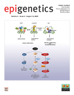 Cover image for Epigenetics, Volume 4, Issue 6, 2009