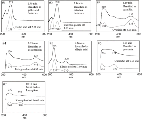 FIGURE 3 Online UV-Vis spectra of the identified compounds in Fragaria vesca in sample P2 (water insoluble fraction).