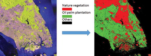 Figure 2. An ALOS/PALSAR image (r-HH, g-HV, b-HH/HV) and the derived oil palm plantation map.