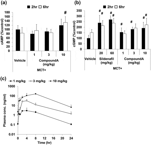 Figure 5. Levels of cAMP and cGMP and pharmacokinetic parameters after repeated dosing of compound A.Compound A (1, 3, or 10 mg/kg, q.d.) and sildenafil (20 or 60 mg/kg, q.d.) were orally administered to MCT rats for two weeks. Skeletal muscle and lung samples were collected 2 and 6 h after final administration. Plasma samples were collected at 0.5, 1, 2, 4, 8, and 24 h after the final administration. (a) Elevation of cAMP in the skeletal muscle. (b) Elevation of cGMP in the lung. (c) Plasma concentration-time profile of compound A. Mean ± SD. n = 4–12. #p ≤ 0.05 vs. vehicle group by two-tailed Williams’ test.