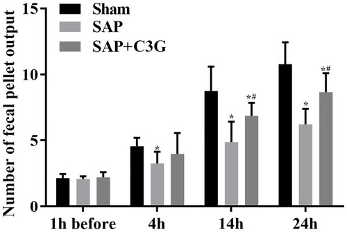 Figure 1 C3G administration improved colonic motility in SAP-model rats. *P<0.05 vs sham group; #P<0.05 vs SAP group.