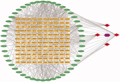 Figure 2. The compound-target network of SHD and analysis. The orange rectangles represent the potential targets, the green circles represent the compounds, the red diamonds represent the herbs and the purple hexagon represents SHD.