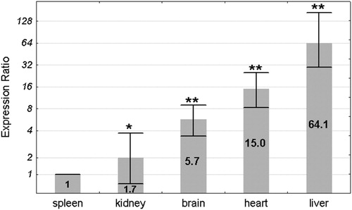 Figure 1. Mean Pir expression ratio in each organ of the wild-type mice. Expression ratios are presented relative to the spleen, where the expression level was the lowest and for clarity has been set as 1. Values are presented on a logarithmic scale. The exact expression ratio value for each organ is depicted on the respective column. Error bars show standard errors. Asterisks denote the statistical significance of the difference between each organ and the spleen (pair-wise fixed reallocation randomization test; **P < 0.01, *P < 0.05). n = 16 animals (8 males and 8 females).