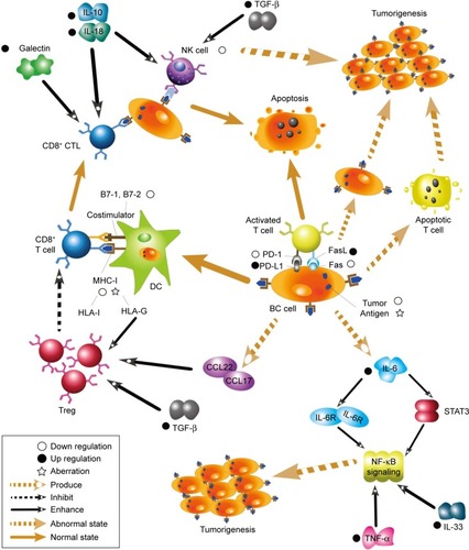 Figure 1 A summarized network of immune evasion mechanisms and their interactions.