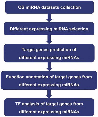 Figure 1. The analysis process of this study.