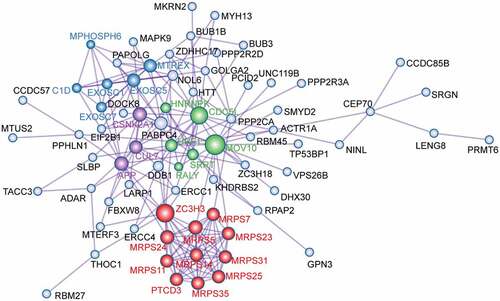 Figure 3. Protein-protein interaction network of overlapping target genes