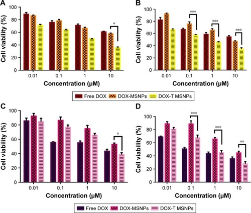 Figure 4 Cytotoxicity assay.Notes: Cytotoxicity assay in MCF-7 cells at (A) 24 hours and (B) 48 hours and in LNCaP cells at (C) 24 hours and (D) 48 hours at 37°C. Data are presented as mean±SD. n=3. *P<0.05, **P<0.01, ***P<0.001.Abbreviations: DOX, doxorubicin; MSNPs, mesoporous silica nanoparticles.