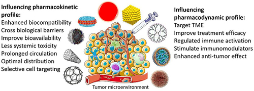 Figure 3 Role of different kinds of nanoparticles to increase the pharmacokinetic properties of drugs in cancer treatment. Data from these studies.Citation30,Citation31,Citation36