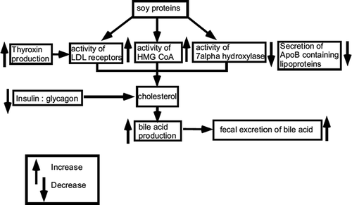 Figure 3 Proposed mechanisms of cholesterol reduction.