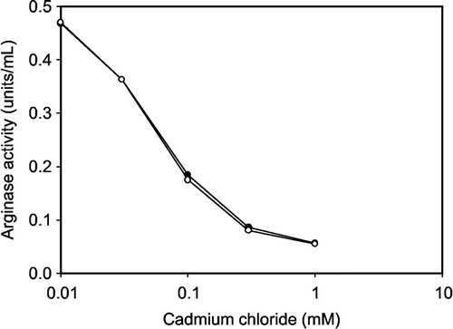 Figure 2 Effect of preincubation on the inhibition of rat kidney arginase by cadmium chloride: no preincubation (closed circle) and preincubated 10 min (open circle).