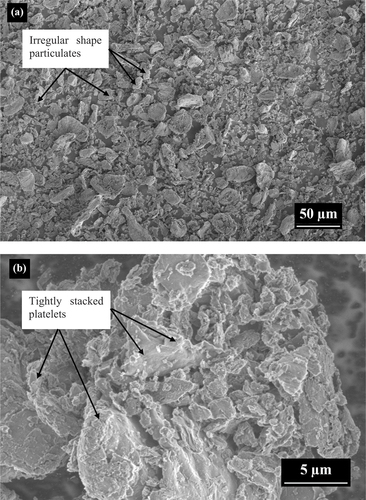 Figure 3. SEM micrographs of MMT powder (a) low magnification image (350X) and 1kV accelerating voltage and (b) high magnification image (5000X) and 2kV as accelerating voltage.