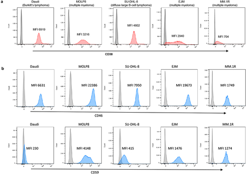 Figure 1. Flow cytometry analyses for CD38, CD46 and CD59. Daudi cells, SU-DHL-8, MOLP8, EJM, and MM.1 R cells were incubated with fluorophore-labeled anti-CD38, CD46 or CD59 antibodies. a) CD38. The gray peak in the flow histogram is the negative control (without antibody staining). The pink area represents cells stained with anti-CD38 antibody. b) CD46 and CD59. The gray curve is the negative control (without antibody staining). The blue curve represents cells detected by anti-CD46 or anti-CD59 antibodies. Shown is also the mean fluorescence intensity (MFI) of CD38, CD46 and CD59.