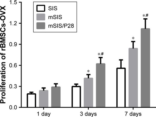 Figure 5 Proliferation of rBMSCs-OVX cells on SIS, mSIS, and mSIS/P28 membranes. Note: Statistical significance is indicated by *p<0.05 compared to pure SIS group and #p<0.05 compared to mSIS group.Abbreviations: mSIS, mineralized SIS; OVX, ovariectomy; rBMSCs-OVX, bone marrow stromal stem cells from ovariectomized rats; SIS, small intestinal submucosa.