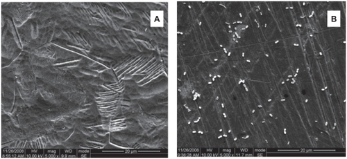 Figure 3 Scanning electron photomicrographs of the Ti-nAg (a) and Ti-polished (b) surfaces after incubation of Pg (magnification: 5000×; working distance: 8000 μm). The Pg bacteria exhibited a round shape and reduced bacterial attachment to the Ti-nAg surface, relative to the Ti-polished surface.