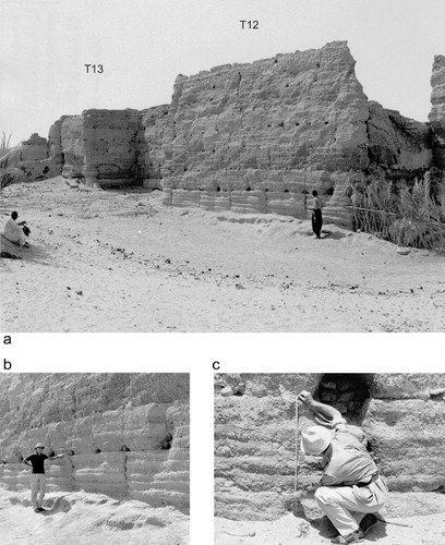 Figure 7. Photographs from the C.M. Daniels archive of the town walls of Zuwīla (ZUL001) showing details of pisé construction: a) north wall near the northwestern corner of Tower 12, showing courses of pisé blocks (note the different colour of the foundation layers; b) close-up of pisé blocks showing put-log holes with stone lining; c) close-up of the internal layering of rammed earth construction for each block.