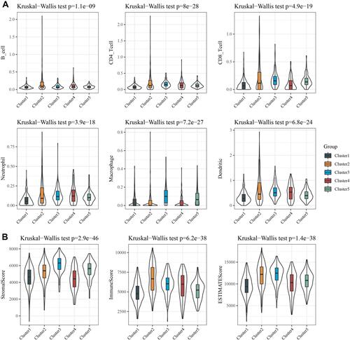 Figure 4 Association between five subtypes and tumor immune microenvironment. (A) B cell score, CD4 cell score, CD8 cell score, Neutrophil cell score, Macrophage cell score and Dendritic cell score were higher in Cluster 3, while lower in Cluster 1. (B) Immune Score, StromalScore and ESTIMATE Score in five molecular subtypes.