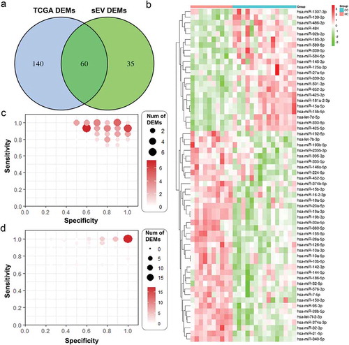 Figure 2. sEVs enriched fractions derived miRNAs profiles of CC and NC groups. A. A Venn diagram showed DEMs shared between TCGA dataset and our plasma sEVs enriched fractions miRNA dataset. B. A heatmap of the 60 DEMs’ expression level across all 25 samples in our plasma sEVs enriched fractions miRNA dataset. C. The specificity and sensitivity of each DEMs in identifying CC patients in our plasma sEVs enriched fractions miRNA dataset. D. The specificity and sensitivity of each DEMs in identifying CC patients in TCGA miRNA dataset.