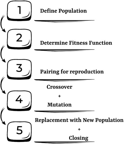 Figure 4. Various steps in GA optimisation.