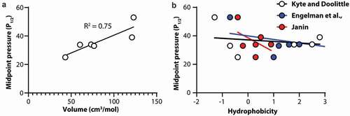 Figure 4. Correlation of Piezo1 channel mechanosensitivity with amino acid volume and hydrophobicity at amino acid position 2114. (a) Midpoint pressure (P1/2) plotted against amino acid volume. (b) Midpoint pressure (P1/2) plotted against amino acid hydrophobicity using three different scales. In all cases solid lines represent linear regression