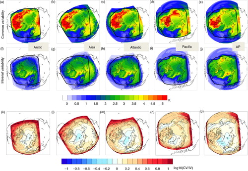 Fig. 12 Mean DJF common (upper row) and internal (centre row) 2 m temperature variability. The black polygon indicates the common area of all the five coupled domains. Lower row: log10 of relative variability [common (CV) divided by internal (IV)].