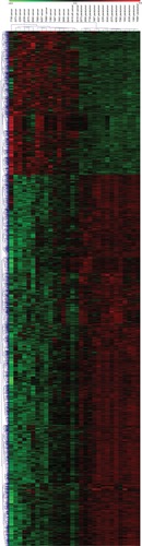 Figure 1 lncRNAs are systemically dysregulated in NSCLC tissues.Notes: Heatmap of expression profiles for the 3,166 lncRNAs showed significant expression changes (913 upregulated and 2,253 downregulated).Abbreviations: lncRNA, long non-coding RNA; NSCLC, non-small-cell lung cancer.