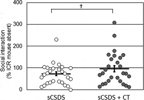 Figure 2. Social interaction scores in the sCSDS (n = 27) and sCSDS + CT (n = 27) groups. The bar represents the mean ± SEM. Individual values are represented by circles. p values are for the unpaired two-tailed Student’s t-test. †p < 0.1. sCSDS, subchronic and mild social defeat stress.