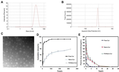 Figure 2 Characterization of FA/Nano-Cur micelles and drug release study. The particle size and the zeta-potential of FA/Nano-Cur micelles measured by the dynamic light scattering (DLS) method (A and B). Morphological identification of FA/Nano-Cur micelles under transmission electron microscopy (TEM) (C). Cur release from Free Cur, Nano-Cur micelles and FA/Nano-Cur micelles (D). Plasma drug concentration of Cur in Free Cur group, Nano-Cur group and FA/Nano-Cur group at different time point (E).