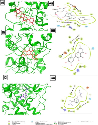 Figure 7. Illustrations of molecular interactions (left: 3D and right: 2D) between the/highest binding energies of BPFRF constituents and standard against AChE target. Luteolin-7-glucoside (red) (Ai, Aii). Quercetin (orange) (Bi, Bii). Rivastigmine (purple) (Ci, Cii).