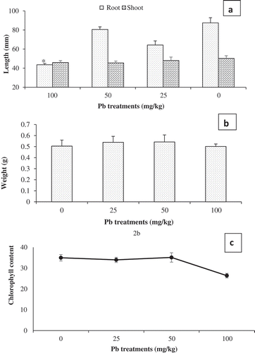 Figure 2. Pb treated Prosopis juliflora (a) Root and shoot length. Mean length are averages of nine plants from three replicates (n = 9) ± SEM. *Mean difference between treatments in root length statistically significant at P ≤ 0.05 (ANOVA-TUKEY). (b) Fresh weight. Mean fresh weight are averages of nine plants from three replicates (n = 9) ± SEM at P ≤ 0.05 (ANOVA). (c) Leaf chlorophyll contents based on SPAD Values. Mean values are averages of nine plants from three replicates (n = 9) .