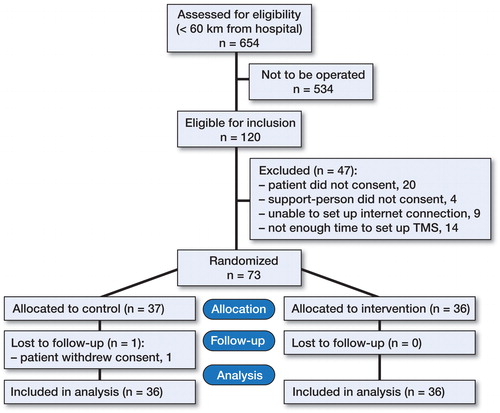 Figure 2. Flow of patients during the study period.