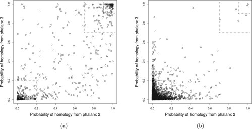 Figure 4. Training data 10-fold CV LR probability of homology from phalanx 2 versus phalanx 3 for phalanx formation algorithm optimizing APR: (a) homologous and (b) non-homologous proteins in the training data. In the smaller and larger top-right corners, the probabilities of homology from both phalanxes are greater than 0.90 and 0.70, respectively; whereas in the bottom-left corner, the probabilities are less than 0.20.