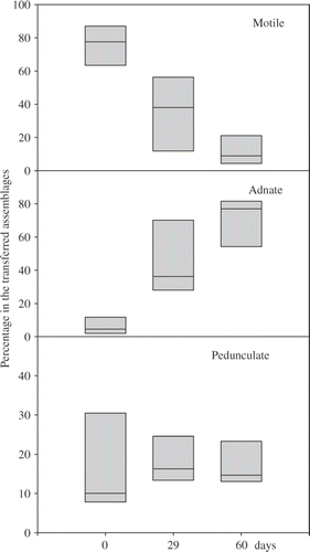 Fig. 2. Changes in the relative abundances of the growth forms in the biofilms after 29 and 60 days of transfer. Boxes indicate the 25th and the 75th percentiles and the bar in the box the median value.